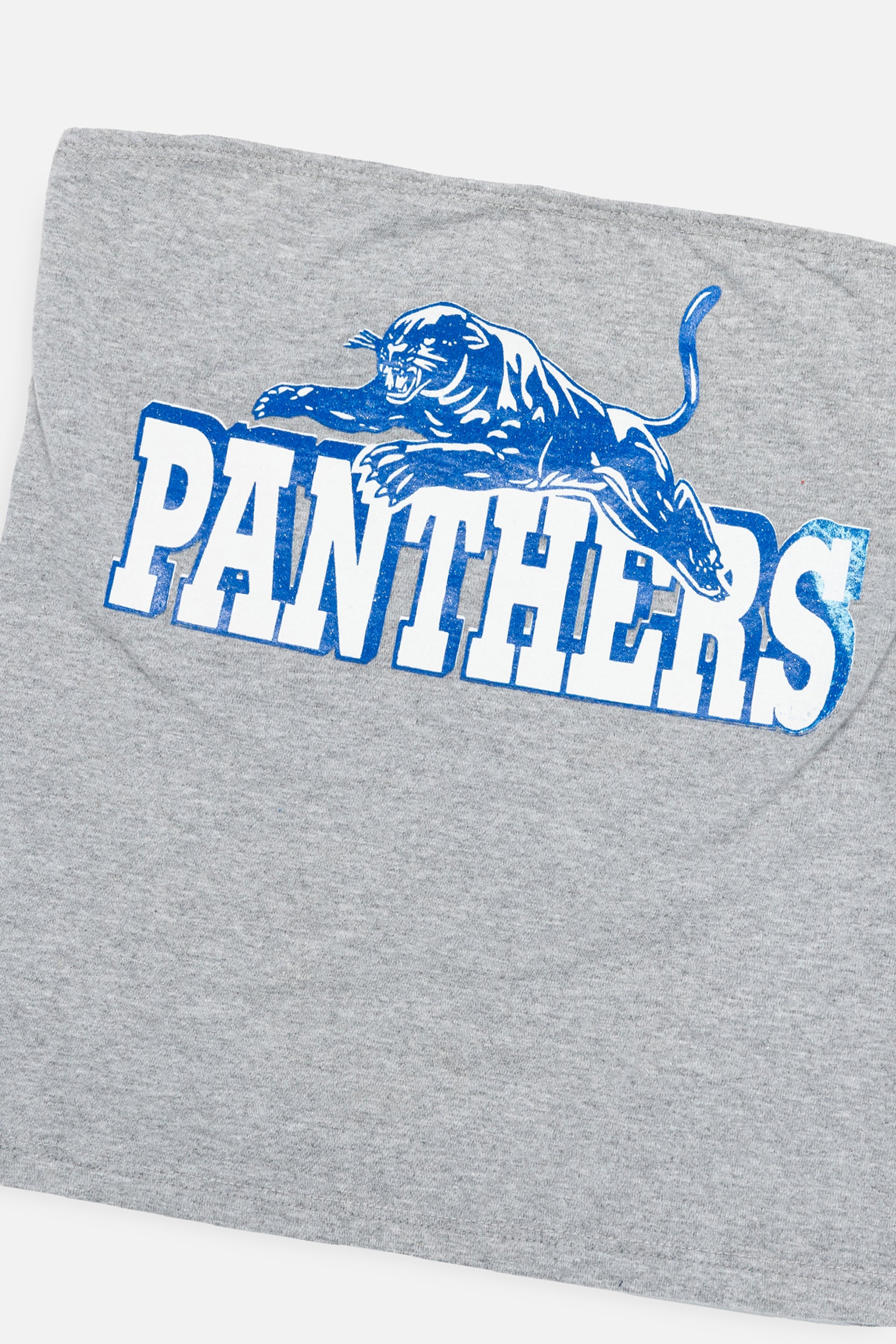 Rework Panthers Tube Top - L-TOPS-Varsity-Frankie Collective